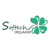 Softech Ireland Logotype