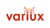 Variux Logotype