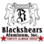 Blackshears II Aluminum Logotype