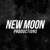 New Moon Productions Logotype