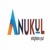 Anukul Infosystems India LLP Logotype