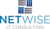 NetWise IT Consulting LLC Logotype