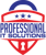 Professional IT Solutions Logotype