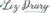 Liz Drury Voiceovers Logotype
