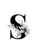 Sara Amiri Interiors Logotype