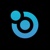 BinduLogic Logotype