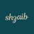 Shahzaib Ahmad’s Services Logotype