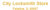City Locksmith Store Logotype