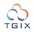 TGIX Cloud Solution : Build. Automate. Optimize. Manage. Logotype