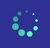 NINT Logotype