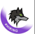 Dark Wolf Solutions Logotype