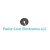 Plaice Cove Electronics LLC Logotype