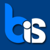 Blitz Info system Logotype
