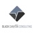 Black Canyon Consulting LLC Logotype