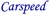 CARSPEED SRL Logotype