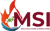 Mold Solutions & Inspections Logotype
