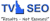 Treasure Valley SEO, LLC Logotype