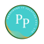 PranshPro IT Solutions Pvt. Ltd. Logotype