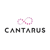 Cantarus Logotype