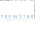 Trewstar Corporate Board Services Logotype