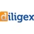 Diligex Logotype