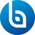 Beyond Original LLC Logotype