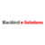 Blackbird e-Solutions LLC Logotype