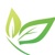 Nectivio Inc Logotype