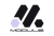 Module Logotype