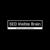 SEO Visible Brain Logotype