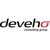 Deveho Consulting Group Logotype