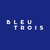 Bleu 3 Logotype