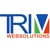 Trimwebsolutions Logotype
