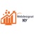 Web Design at NY Logotype