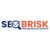 SEO BRISK Logotype