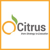 Citrus Consulting Services Logotype