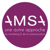 Amsa Logotype