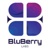 Bluberry Labs LLC Logotype