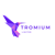 Tromium Limited Logotype