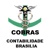 Cobras Contabilidade Logotype