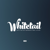 Whitetail Websites Logotype