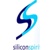 Silicon Spirit Consulting Group, Inc. Logotype