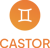 Castor Development Outsourcing Logotype