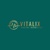 www.vitalixdigital.ca Logotype
