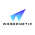 Webernetic Logotype