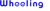 Wheeling Transportation Company, Inc. Logotype