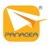 Panacea IT Infrastructure LLC Logotype