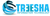 TREESHA INFOTECH Logotype