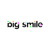 Big Smile Logotype