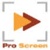Pro Screen Media Services Logotype